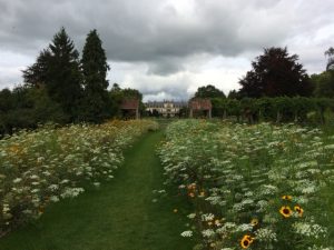 dyffryn gardens