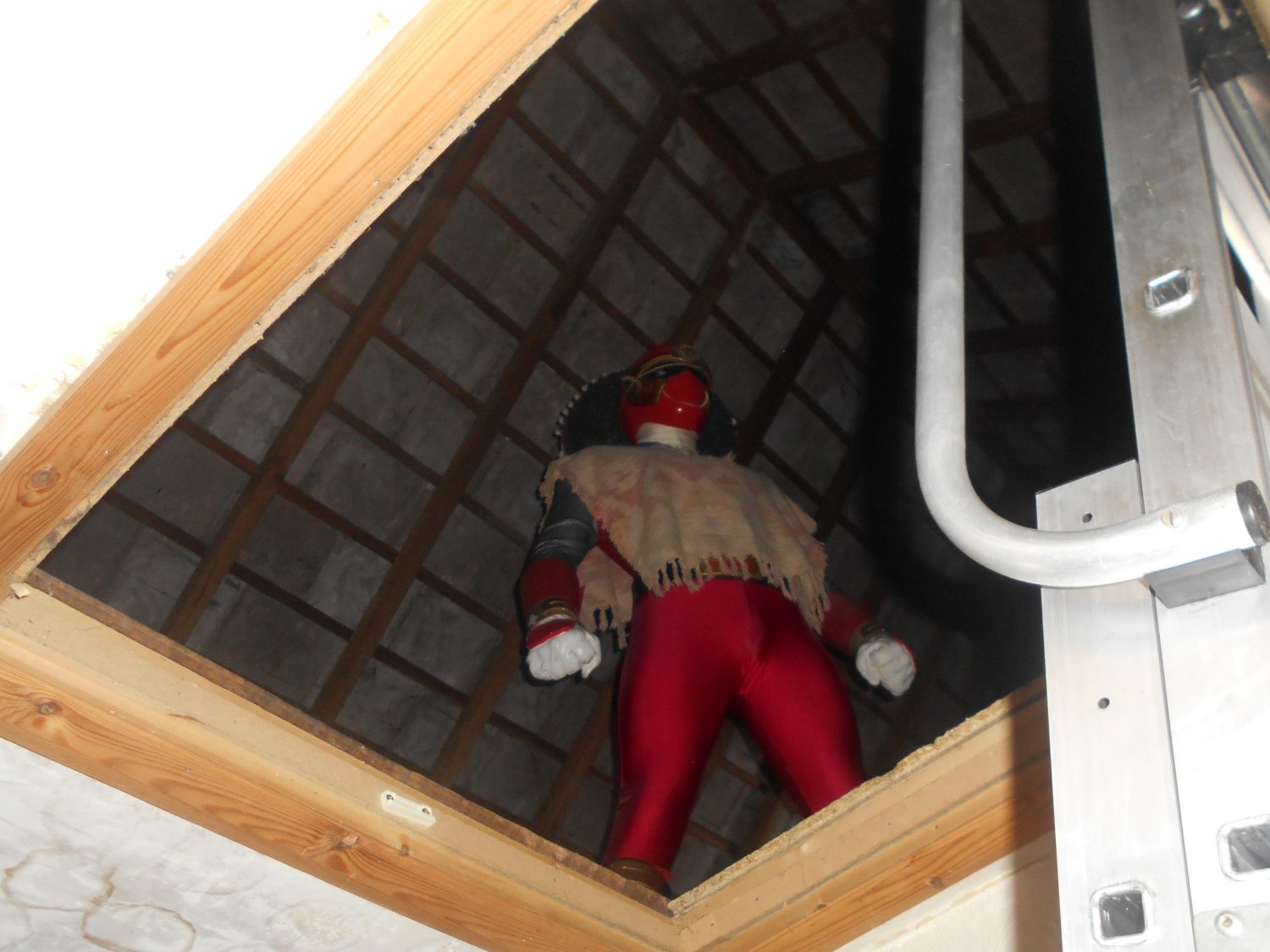 Our Top 5 Most Memorable Loft Inspection Experiences! | Jones Battye